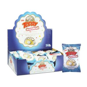 Elvan Today SnowBall Hindistancevizli – 24 Adet