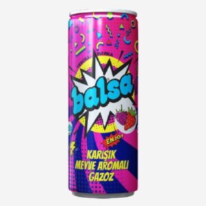 Balsa Gazoz Karışık Meyveli 250 ML - 24 Adet